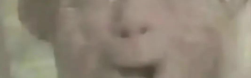 耀世娱乐在线登录-1-10！麻了，骑士麻了！最烂球队老大诞生