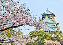 学业和足球两难全 日本模式才应是校园足球的极致